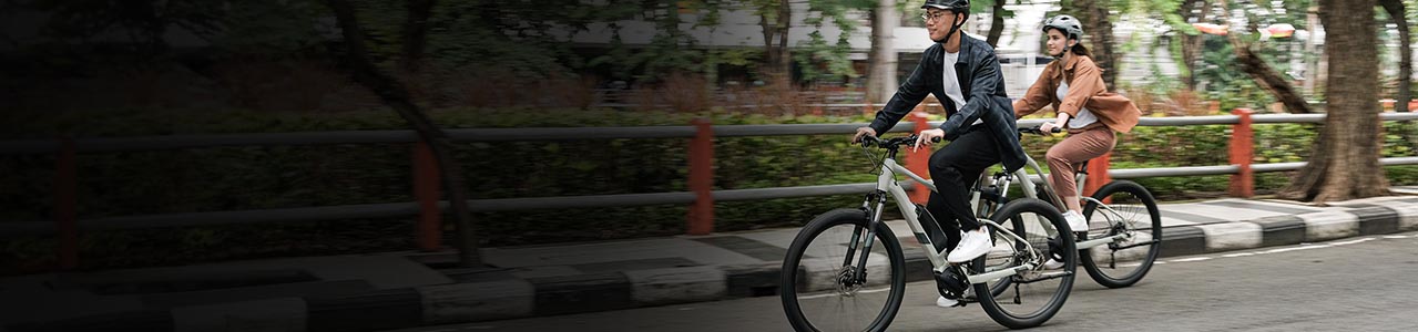 Sepeda Elektrik (E-Bike)