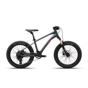 Polygon Xtrada 20 Mountain Bike Junior
