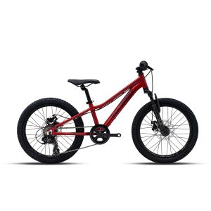 Polygon Relic 20 Mountain Bike Junior