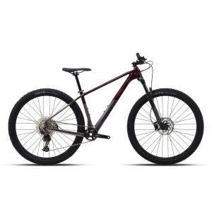 Polygon Syncline C3 Mountain Bike 